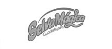 selva-magica
